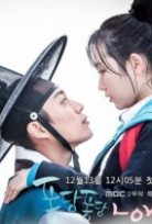 Splash Splash Love