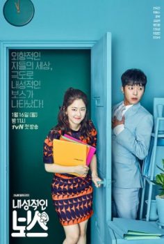 Introverted Boss